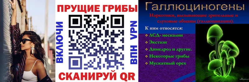 kraken ССЫЛКА  Вытегра  Галлюциногенные грибы GOLDEN TEACHER 