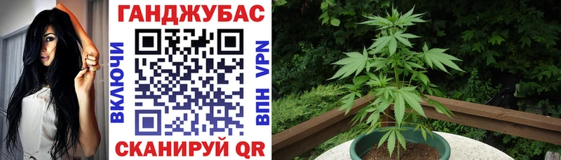 маркетплейс наркотические препараты Вытегра Каннабис марихуана где купить наркоту